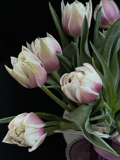 Le Tulip