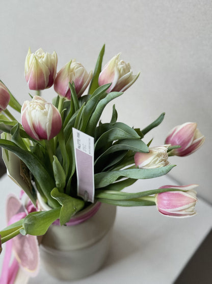 Le Tulip